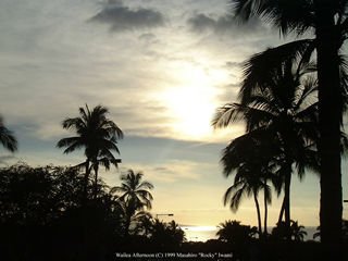 Wailea Afternoon